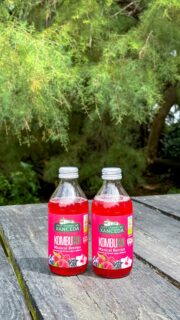 Cóctel sin alcohol, rápido y con burbujas naturales 🍹 
Solo necesitas kombuxa Maxical Berries de @xanceda, un chorrito de zumo de arándano rojo y una rodajita de lima. 
 
Perfecto para brindar a cualquier hora del día 😉 
 
 
 
#kombuxa #xanceda #coctelkombuxa #veranoenlacopa #kombuchalovers #bebidasrefrescantes #kombuchagallega  #refrescanteysano  
*Publi