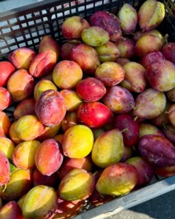 Domingo por la mañana de feria en Paiosaco.
