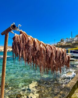 Un paseo por Mandrakia y Klima, en Milos 🇬🇷, para descubrir el alma marinera de esta isla. 
Aquí nacieron las syrmata: coloridas construcciones a pie de agua donde los pescadores resguardaban sus barcas del temporal durante el invierno. 
 
Hoy en día, muchas de estas icónicas casitas se han reformado y transformado en alquileres vacacionales muy solicitados.