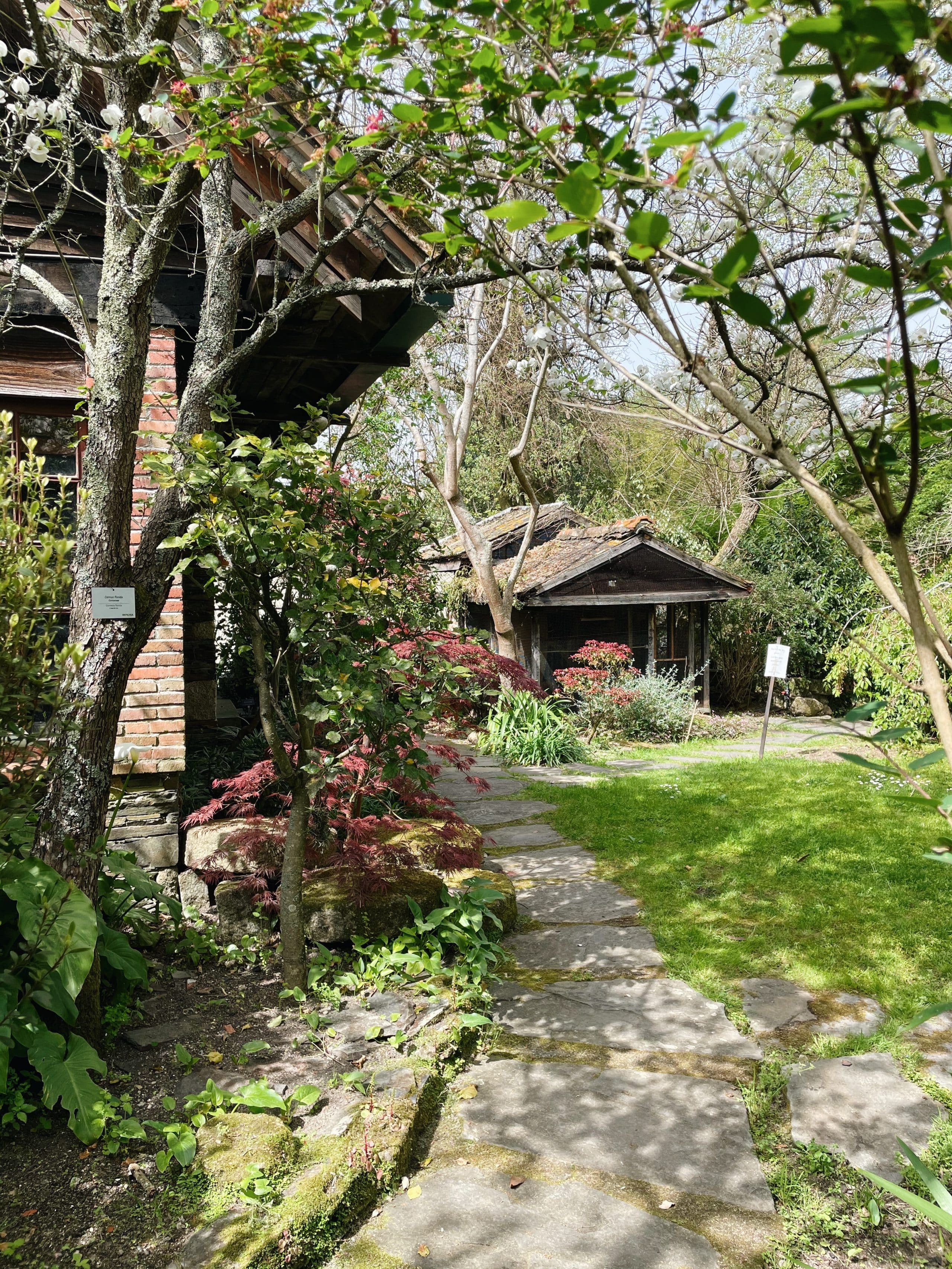Jardín Botánico de Vigo