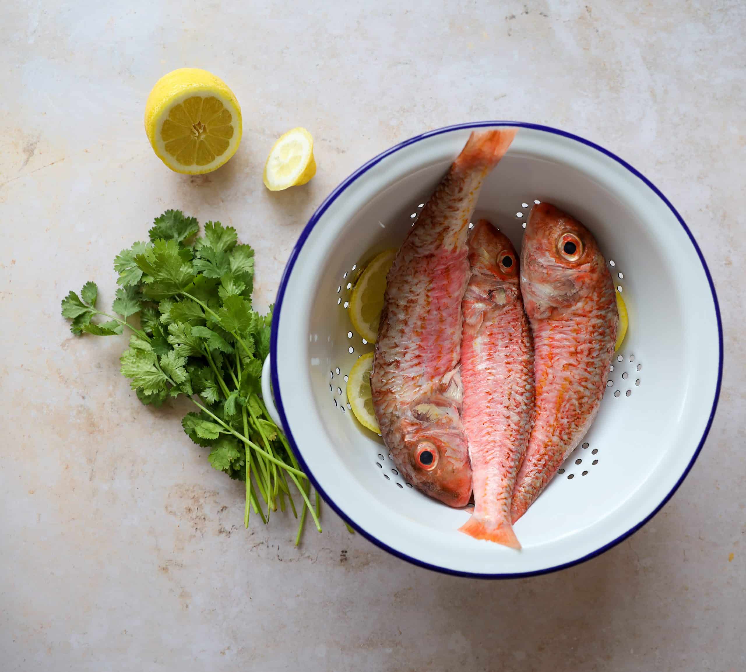 Salmonetes
