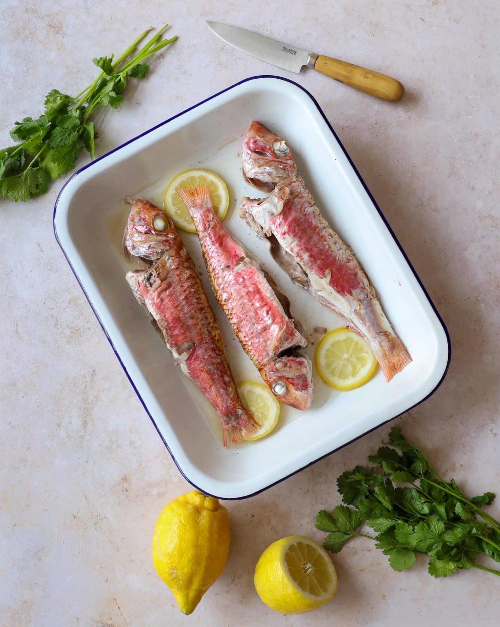 deliciosos salmonetes