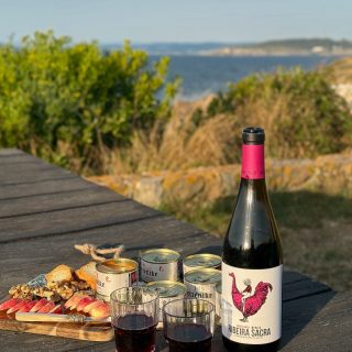 Última hora del sol y picnic junto al mar 🥂 
 
Idea de @galiciagourmet que tiene varias cestas y estuches para disfrutar al aire libre este verano 😎 
 
 
#picnic #planesdeverano #verano #pates #mencia #alsol #picnic #coruña #galicia  
*𝘤𝘰𝘭𝘢𝘣.