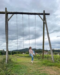 Un paseo entre viñedos y una cata tranquila, y muy bien llevada, entendiendo mejor el vinho verde 🥂

@terrarosacountryhouse nos enseñó sus viñas, sus vinos y esa forma pausada de disfrutar del norte de Portugal que tanto nos gusta.