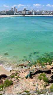 Brioche negro cubierto de polvo Florida, salsa cheddar bay, chuletón de frisona, queso americano, brisket de black angus a baja temperatura estilo cajún y salsa sureña. 
 
Así suena la propuesta de los coruñeses @carnivaleburger para @thechampionsburger 
 
¡Venid con hambre!  
@silviafooding 
 
 
#thechampionsburger #planescoruña #coruñacity #coruñasemueve