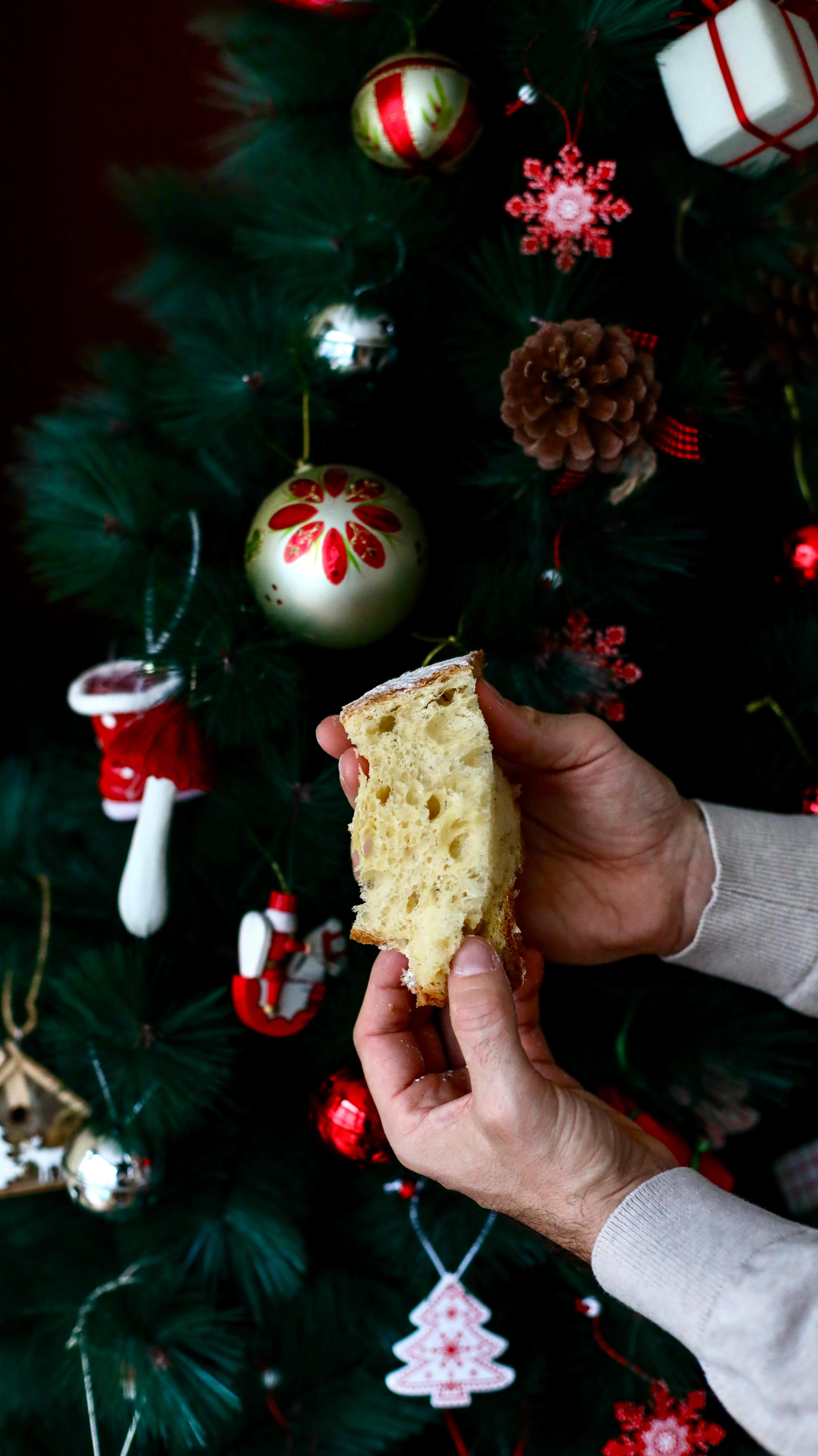 La idea era grabar un vídeo serio enseñando en casa el pandoro de @panecanela_ … pero nos salió un desastre 🙈😂. 
Cosas de novatos, supongo 🤭

Y como este pandoro nos encanta (ya era la segunda vez que lo probábamos), nos daba pena no publicar algo. 
Así que aquí va un mix de behind the scenes. 

Por cierto, hemos dejado una toma buena en el medio para que veáis cómo es por dentro.

Gracias, Yamila 🥰 

#coruña 
#pandoro
#behindthescenes