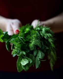 Kolokithopita horis filo 🇬🇷 
Kolokithopita (tarta salada de calabacín)  
Horis filo (sin masa filo)  
 
O lo que es lo mismo, cuando Thomas y yo nos pusimos a preparar tarta salada al horno de calabacín, típica de Creta, la primera isla griega a la que viajamos juntos.  
 
 
INGREDIENTES 
 
600 g de calabacín rallado 
1 cucharadita de sal (para el calabacín) 
3 cebolletas finamente picadas 
4 huevos 
100 g de queso feta desmenuzado 
100 g de queso kefalograviera rallado (o graviera)- como no lo encontramos usamos uno similar 
80 ml de aceite de oliva virgen extra 
50 g de eneldo  
25 g de menta fresca picada  
100 g de harina  
Sal y pimienta negra recién molida al gusto 
 
 
INSTRUCCIONES 
 
Ralla los calabacines y espolvoréalos con una cucharadita de sal. Déjalos reposar unos 10 minutos y después colócalos en un paño limpio para escurrirlos bien, apretando hasta eliminar la mayor cantidad de líquido posible. 
 
Pasa el calabacín escurrido a un bol grande. Añade las cebolletas picadas, el eneldo y la menta fresca, y mezcla bien. 
 
Incorpora el feta desmenuzado y el queso rallado. Añade la harina, los huevos, el aceite de oliva, un poco de sal y pimienta.  
Te saldrá una masa espesa y aromática. 
 
 
Extiende la mezcla en una fuente de horno ligeramente engrasada (aprox. 23x27 cm) o forrada con papel vegetal.  
Hornea a 180 °C durante 40–50 minutos, hasta que la superficie esté dorada. 
 
Se puede servir caliente o a temperatura ambiente… y volará de lo rica que está! 😋