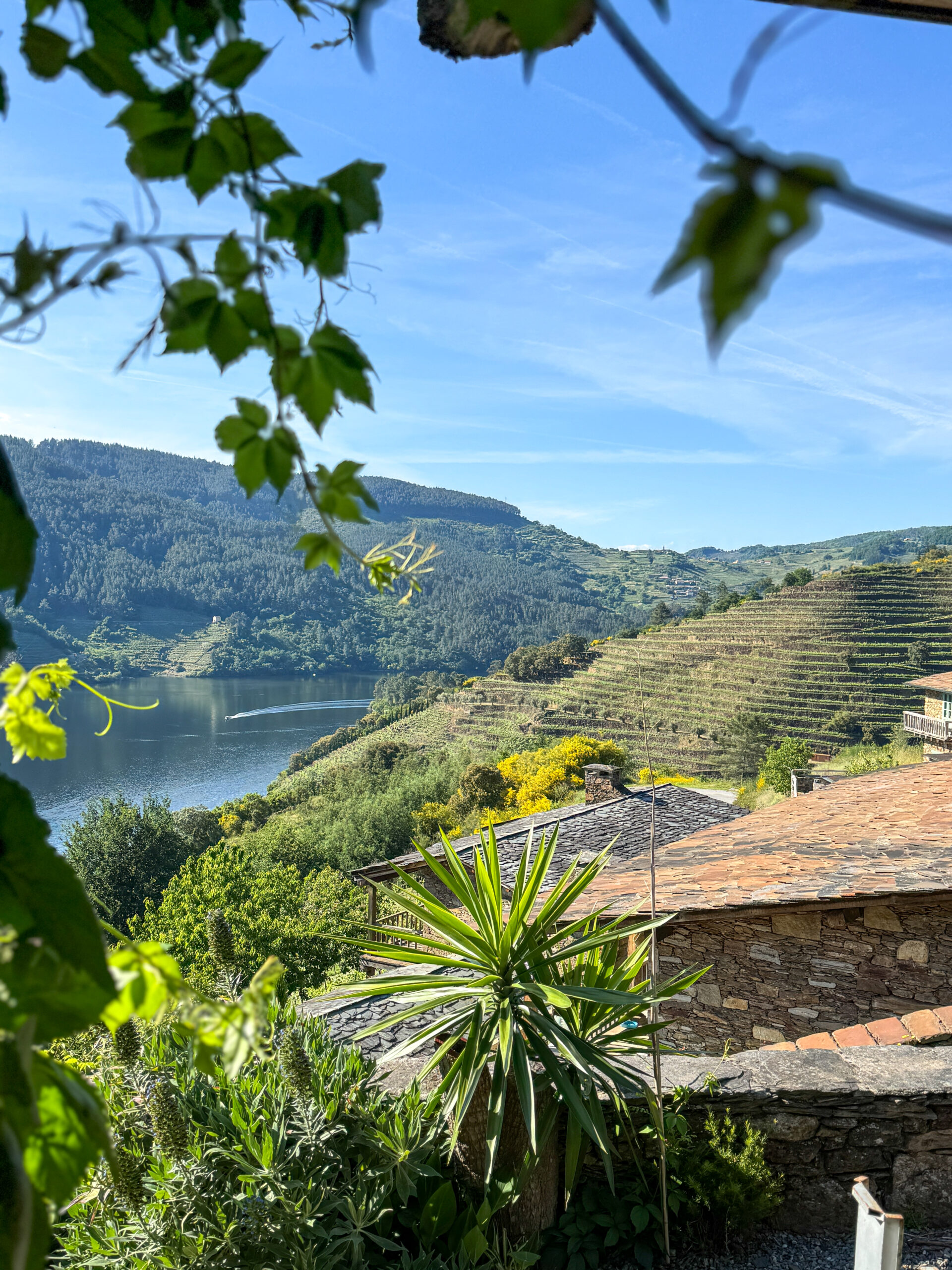 Galicia