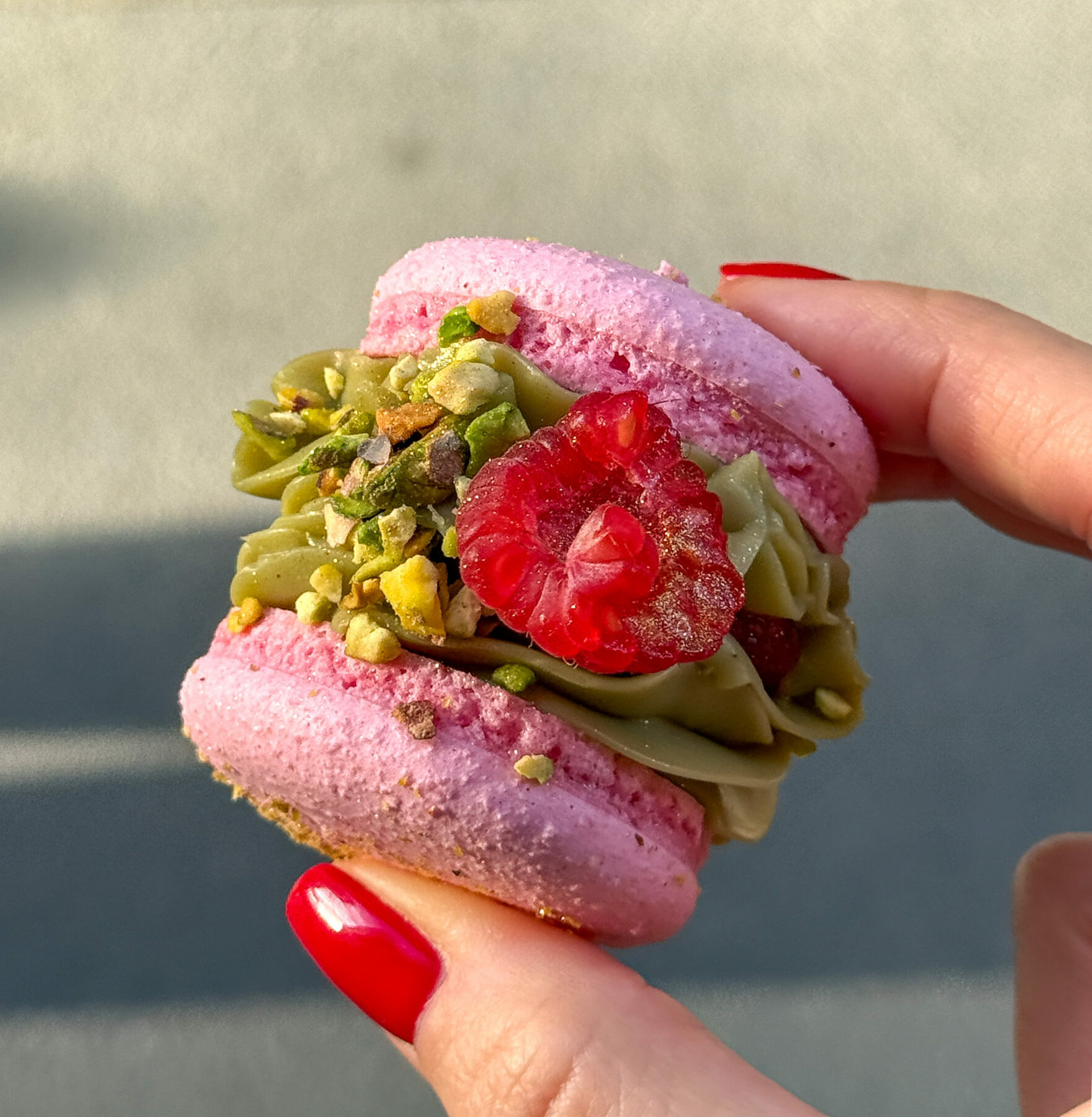 Macaron de Pistachio Pastel