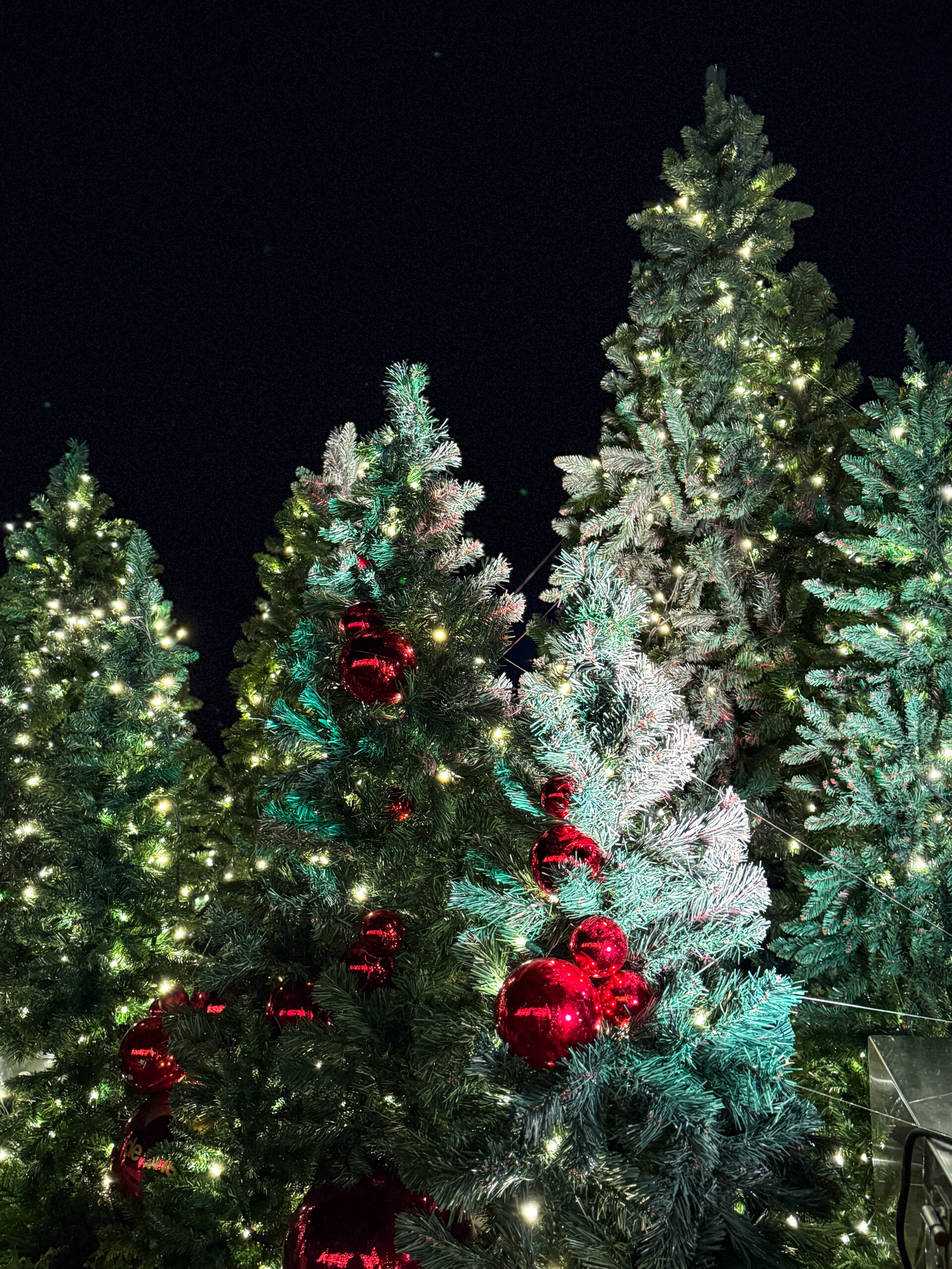 Fiestas navideñas Vigo