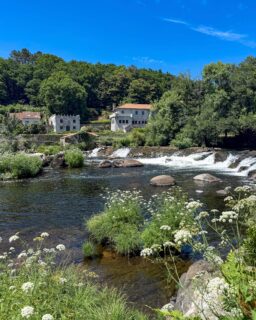 Sábados de desconexión por Galicia 💚

Ayer por Ponte Maceira (1-3)
Cascada del Pozo Negro (4-8) 
Torres de Altamira (9-10) 
Noia (11)
Cogiendo calas en la carretera (12)
Y en stories, de churrasco en O Rancho en Santa Comba