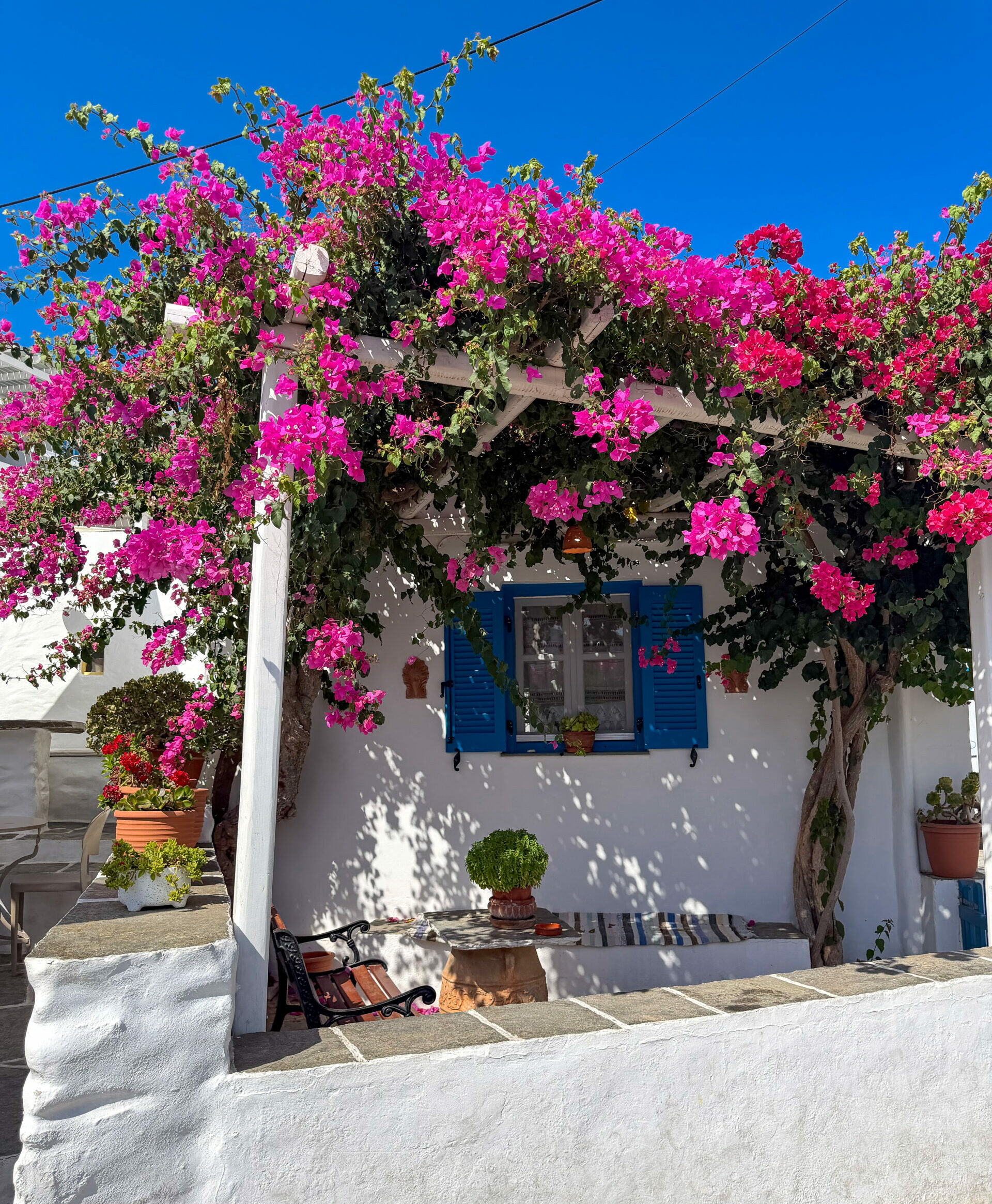 Artemonas