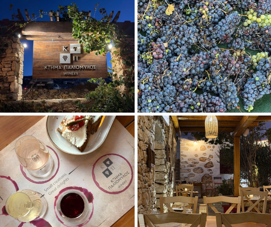 Cata vino Folégandros