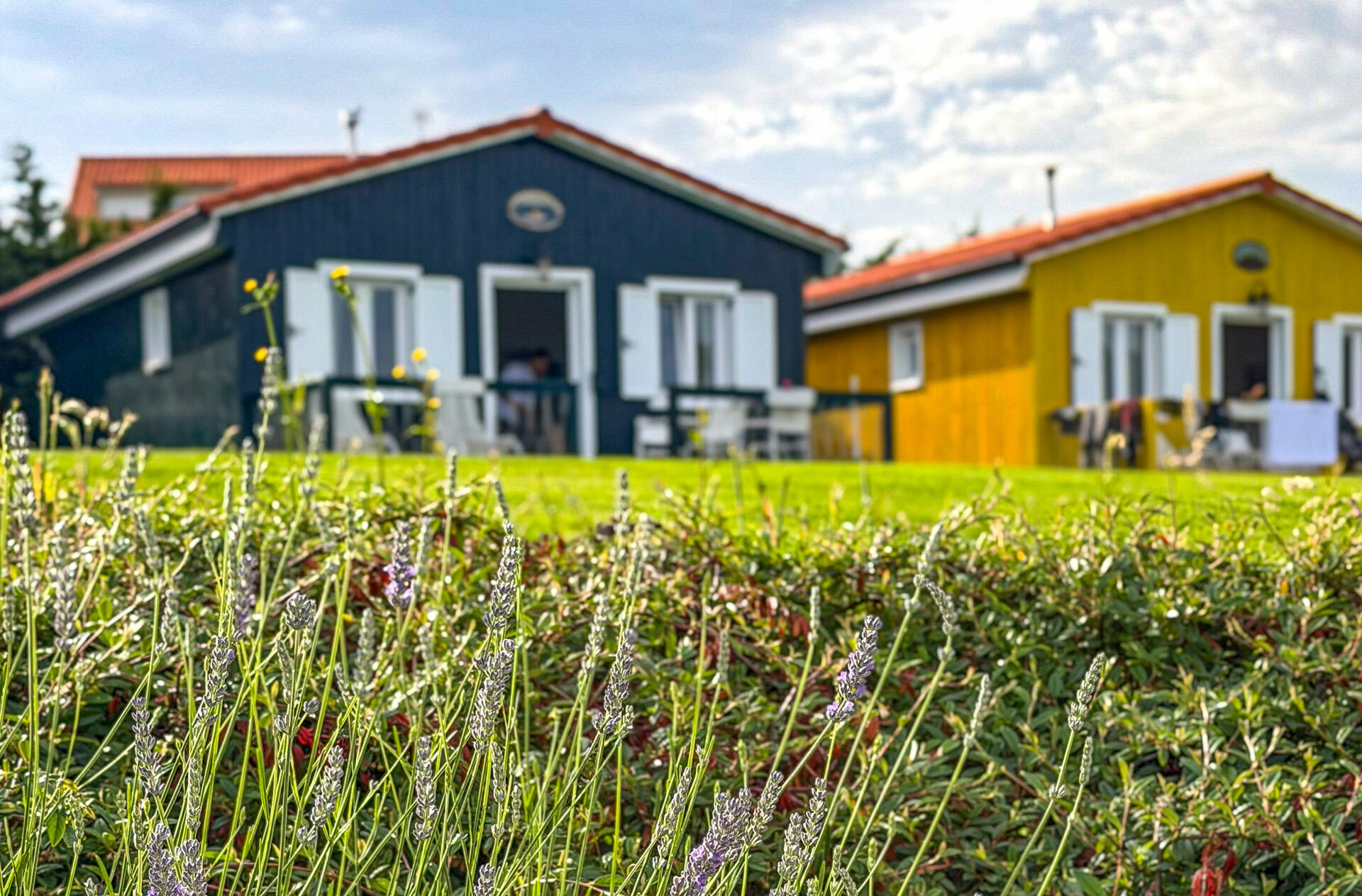 Cabañas Vendaval