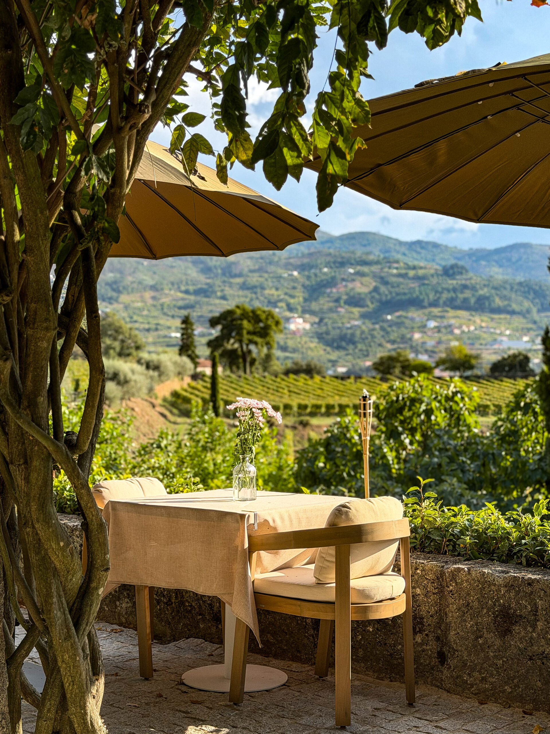 Terraza Quinta da Covela
