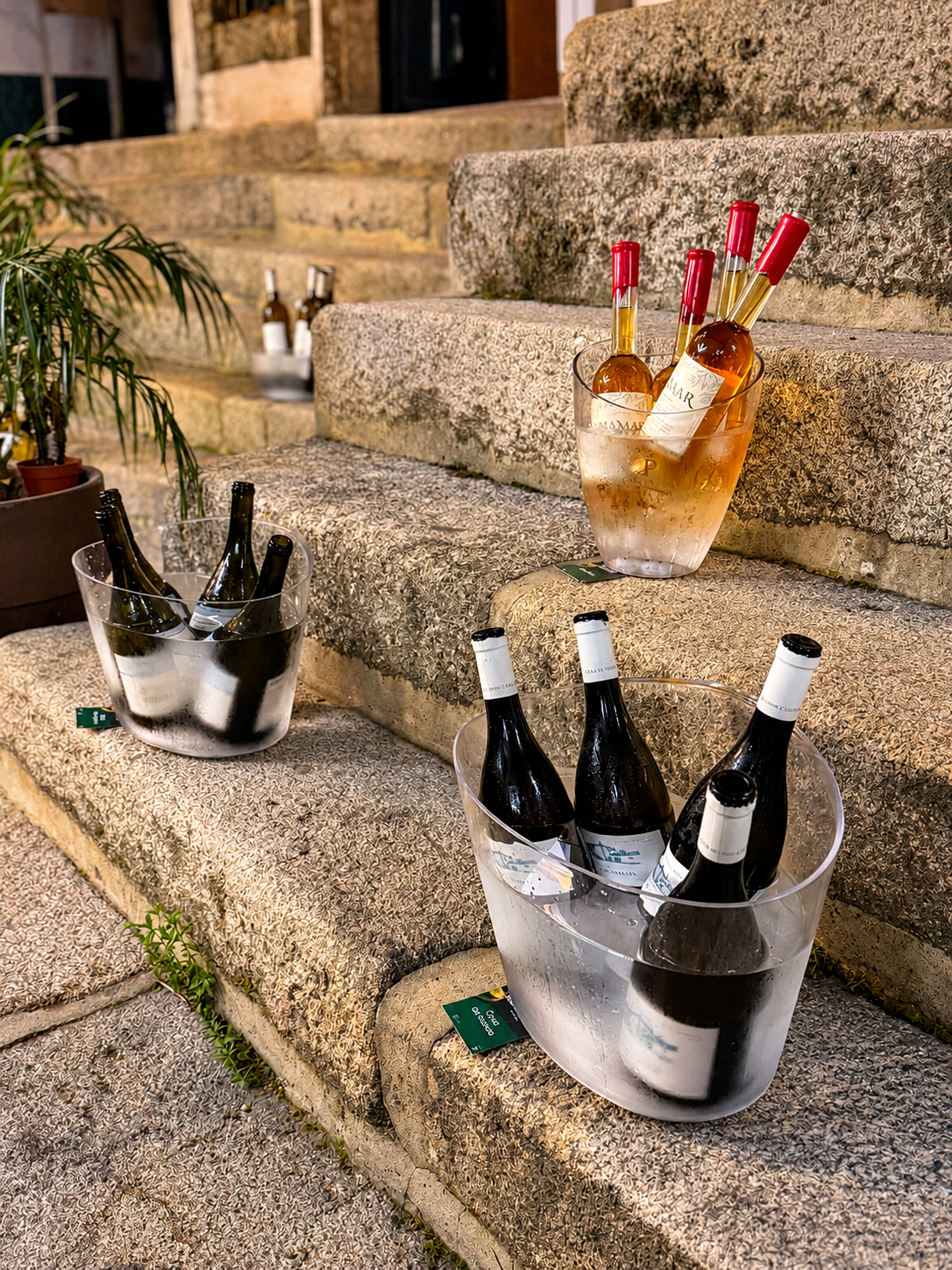Vinos de Loureiro