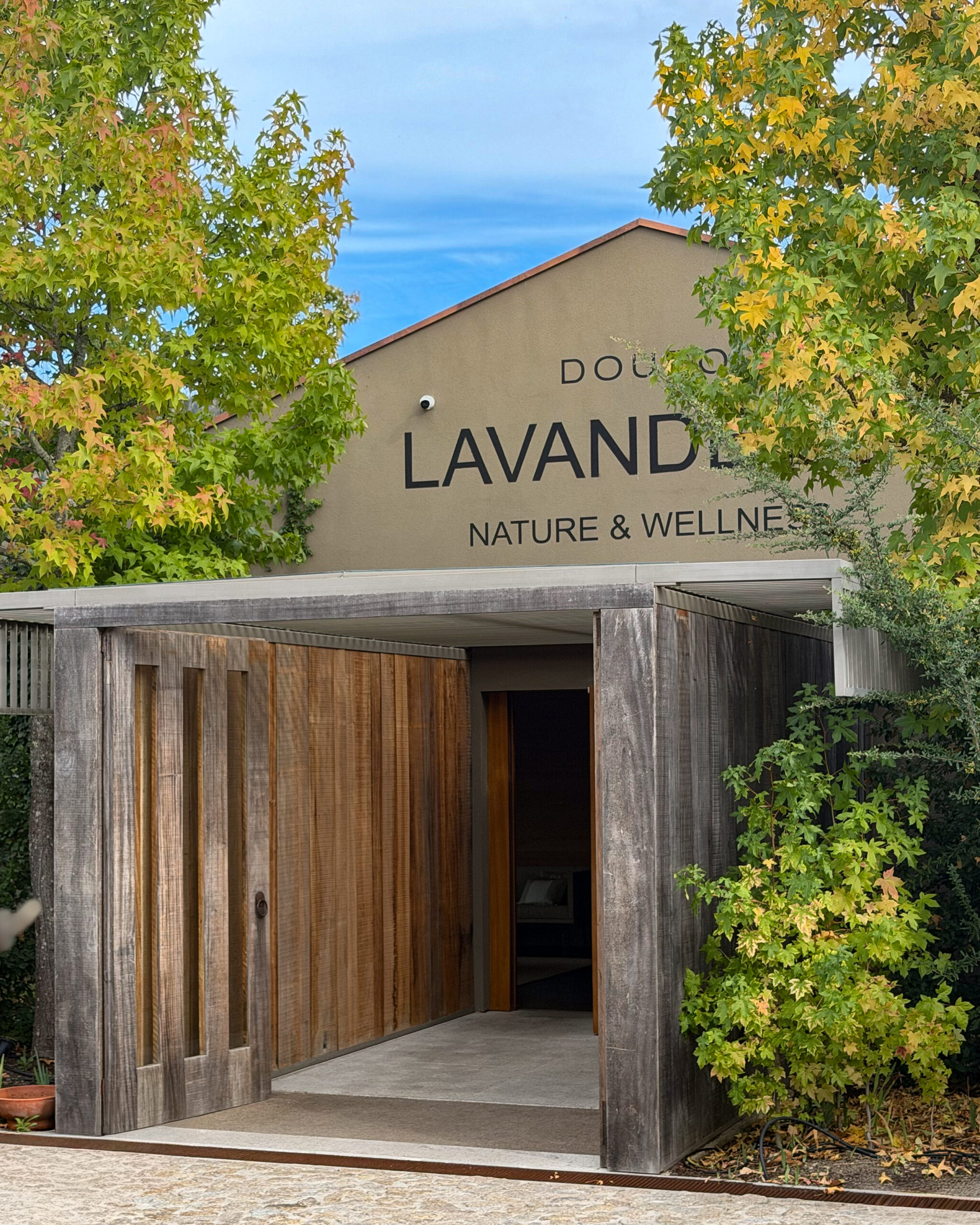 Lavandeira Douro