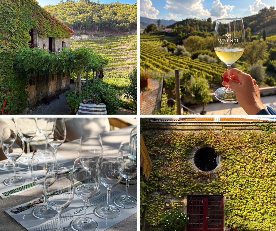 Vinos Quinta da Covela